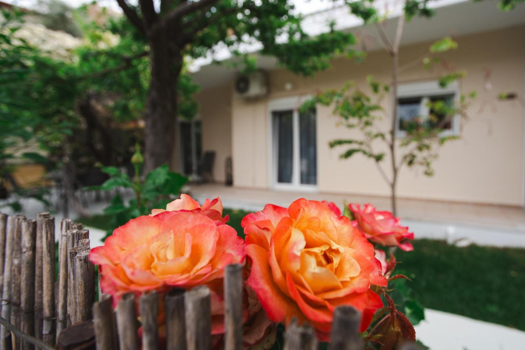 Lucy Apartament Διαμέρισμα Καμένα Βούρλα Εξωτερικό φωτογραφία